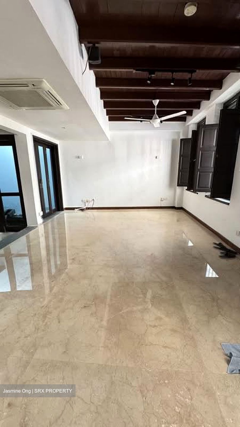 Kim Yam Road (D9), Detached #566378141